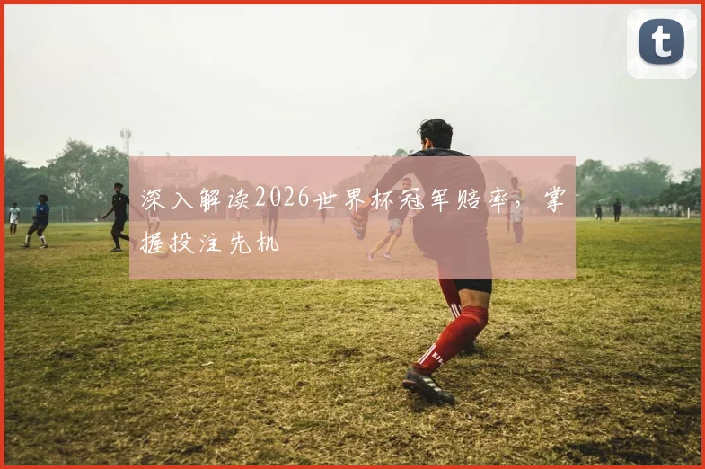 深入解读2026世界杯冠军赔率，掌握投注先机